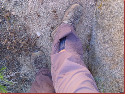 pics 005