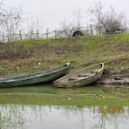 IMG_1550.JPG