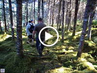 MOV04530.AVI Photo MOV04530.AVI Photo