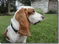 great profile great profile
