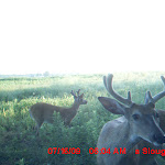MDGC0324.JPG