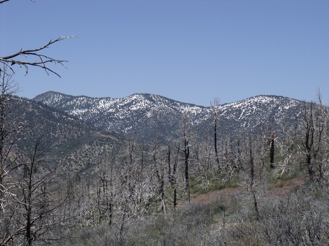 [pics%2520013%255B7%255D.jpg]