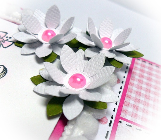 [blooms%255B3%255D.jpg]