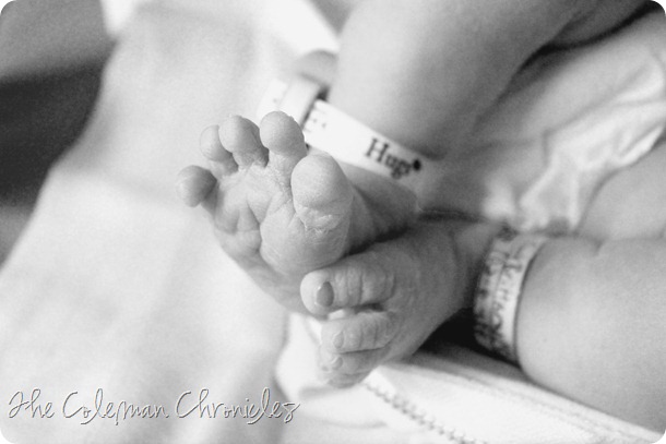 2-6-13 Harper Kate Coleman (4) copy 2-6-13 Harper Kate Coleman (4) copy