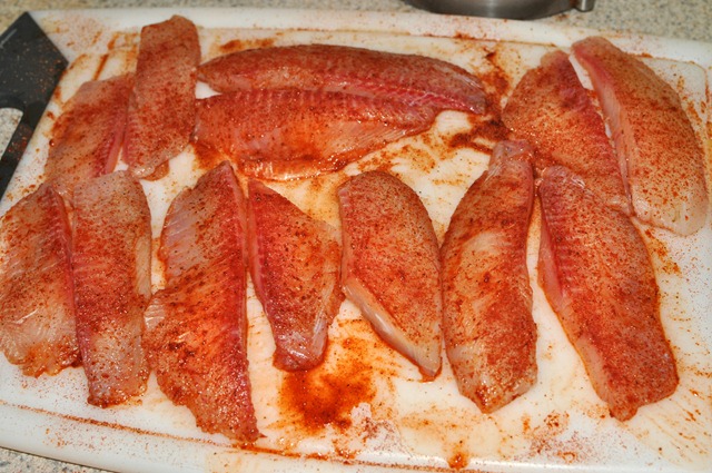 [fish%2520tacos%2520%25282%2529%255B3%255D.jpg]