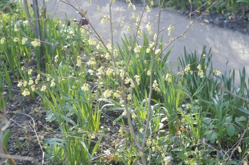 claus20120330_070746