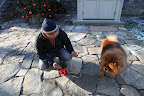 Come on, big boy.  See this red ball?