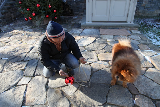 Come on, big boy.  See this red ball?