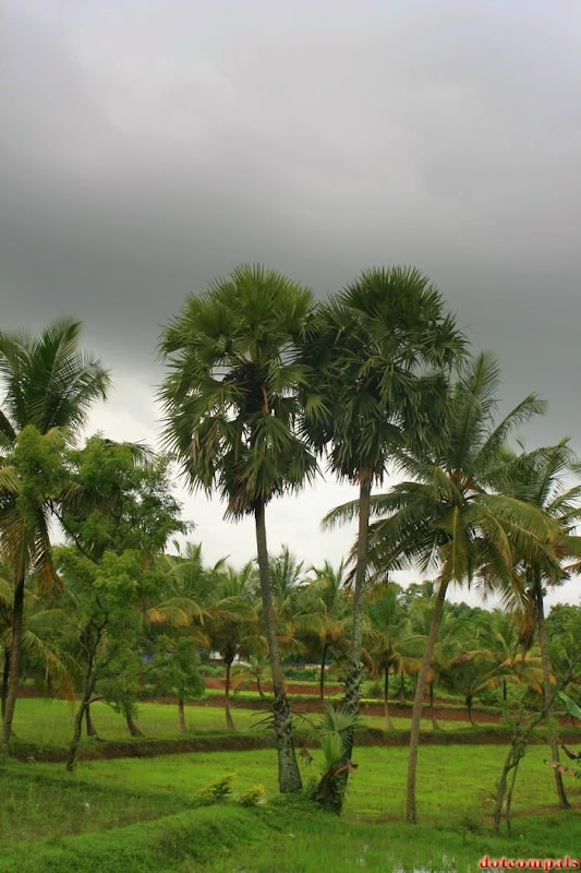 Trip to palakkad (KERALA, INDIA)