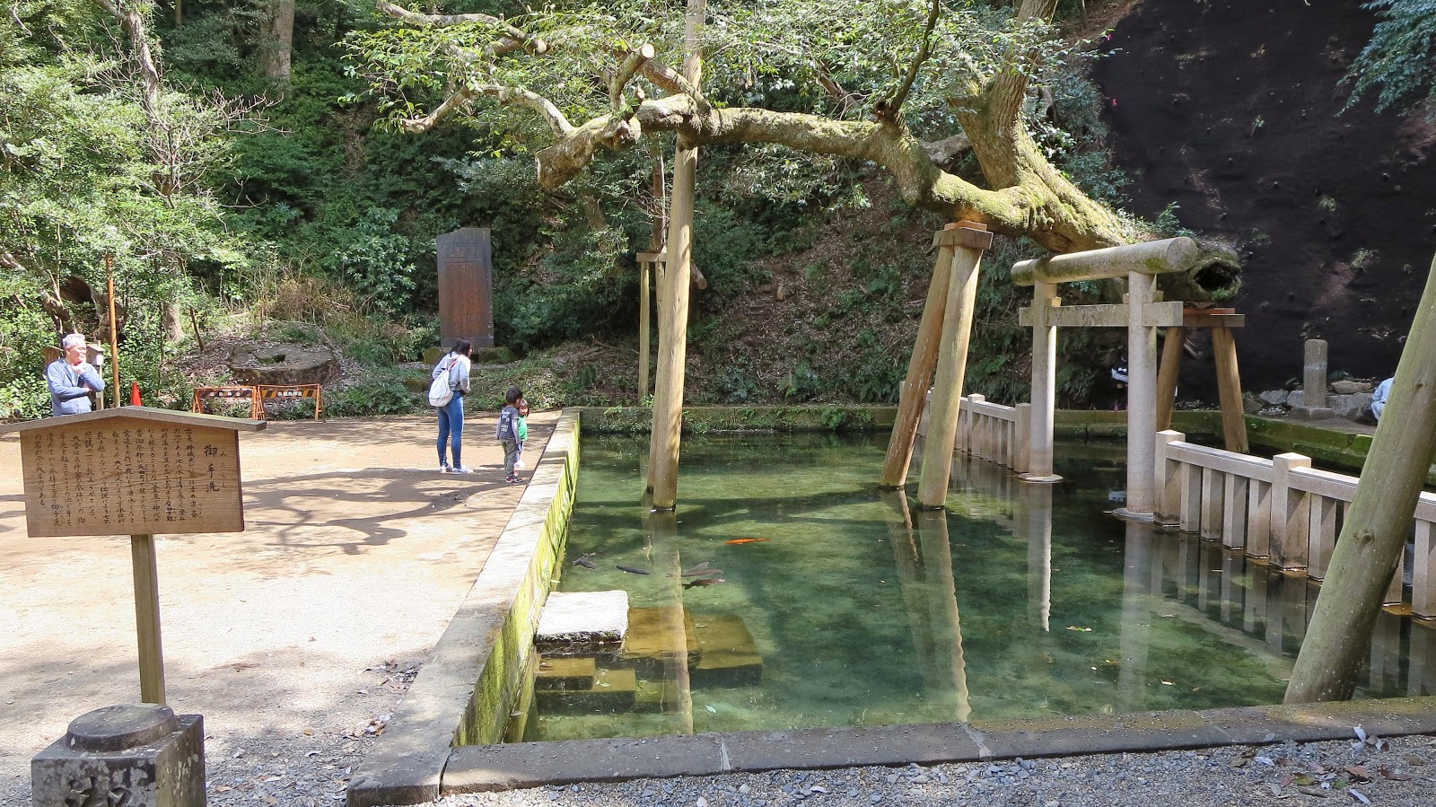 [IMG_0801%255B3%255D.jpg]