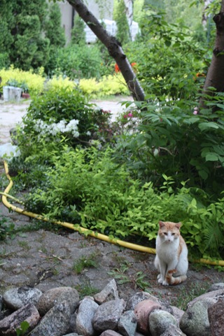 [IMG_3224%255B3%255D.jpg]