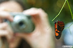 Photographer - Version 2.jpg