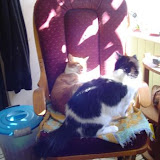 Tink and Charlie having an argument.