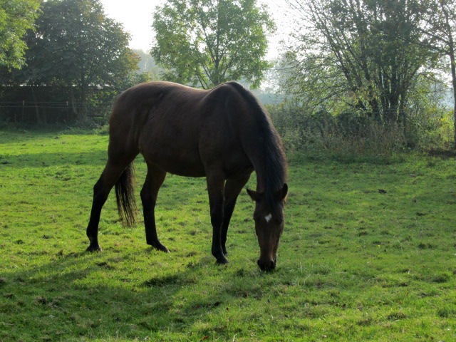 [IMG_1093%255B3%255D.jpg]