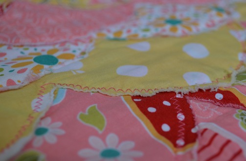 Riley Blake Quilt 012
