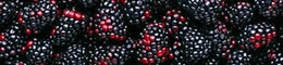 [boysenberries%2520260x60%255B3%255D.jpg]
