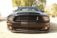 Shelby-Caroll-94