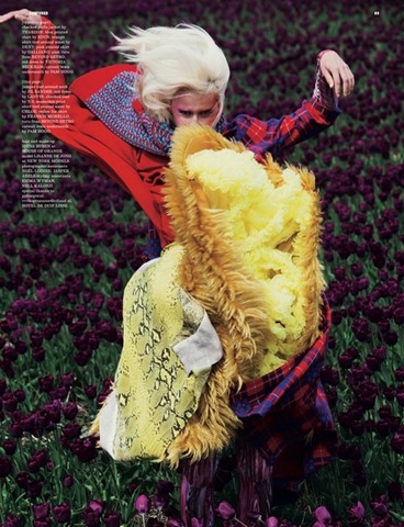 DazedConfused-jul11-inbloom (1)