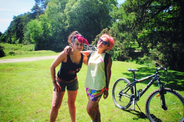 new forest.jpg new forest
