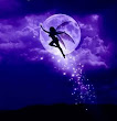 Moon Fairy