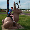 100_0755.JPG