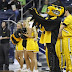 dkopp cal v iowa 03.jpg