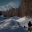 Talkeetna-1420.jpg