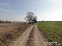 dsc07323.jpg