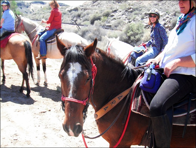 RangerRide6