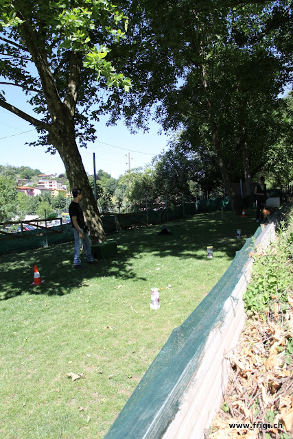IMG_0906.JPG