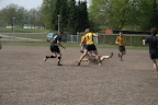 (25-04-10) Noordelijke 7's in Emmen
