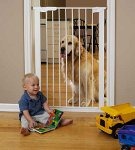 [kidcogate%255B4%255D.jpg]