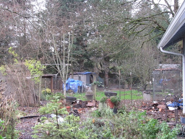 [IMG_1828%255B4%255D.jpg]