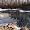 dsc06317.jpg