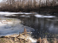 staw obok rz. Głównej staw obok rz. Głównej