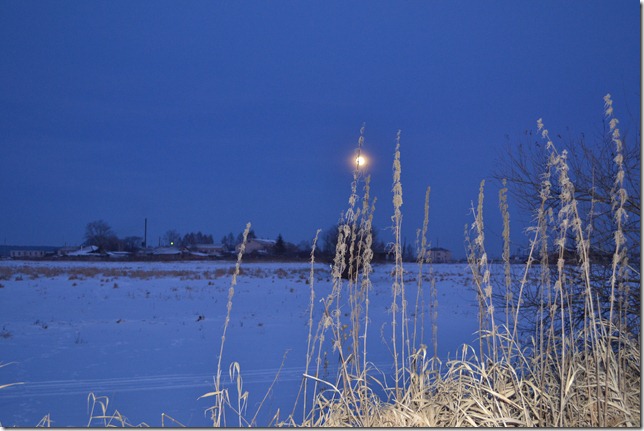 DSC_1651 DSC_1651