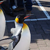 hokkaido_323.jpg