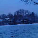 DSC00391.JPG
