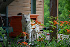 DSC_0004.JPG