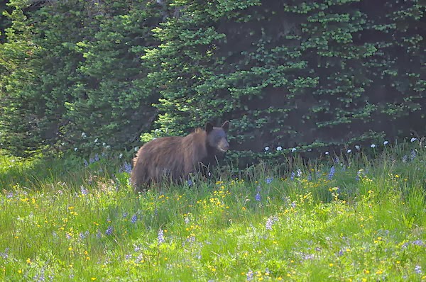 DSC_2077.JPG DSC_2077.JPG