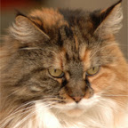 mona9years.jpg