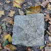 dsc03966.jpg