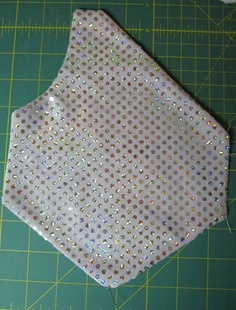 IMG_2508 IMG_2508