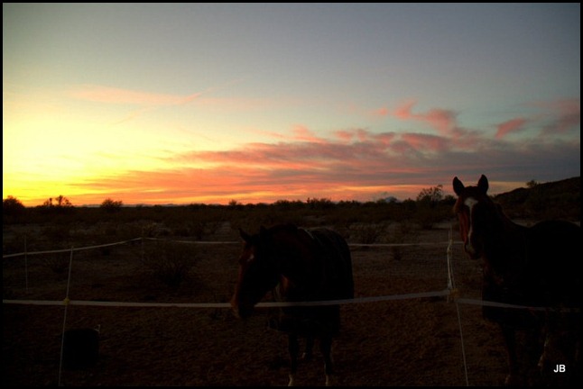 So, skip the picture and get the hay!