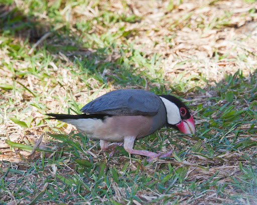 Img_1088