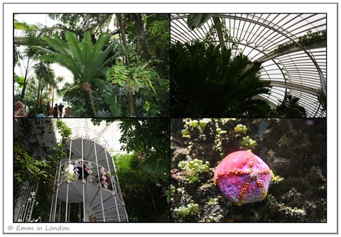 The Palm House Kew Gardens