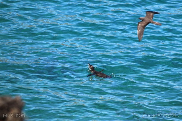 [IMG_9231%255B7%255D.jpg]