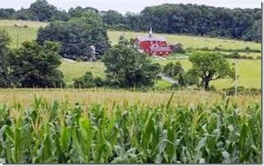 open space - farmland open space - farmland