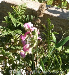GEDC0067