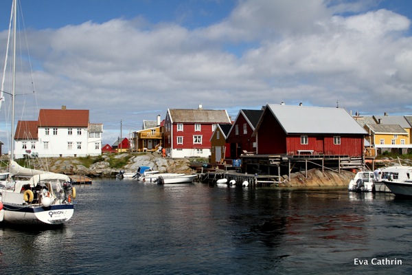 IMG 9845